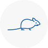 Mice Exterminators In Glenfield