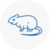 Rat Control Glenfield